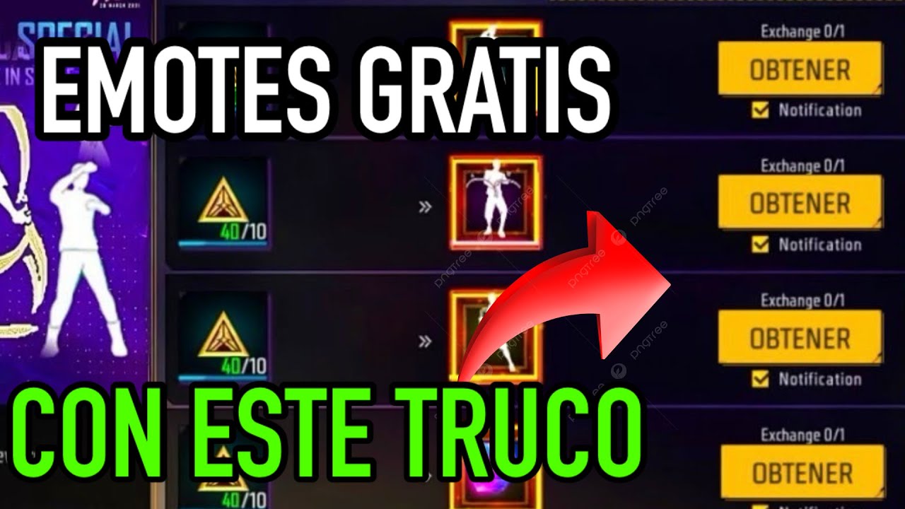 Imagen relacionada con la guía